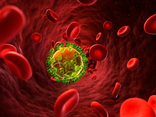 изображение клеточного иммунитета
